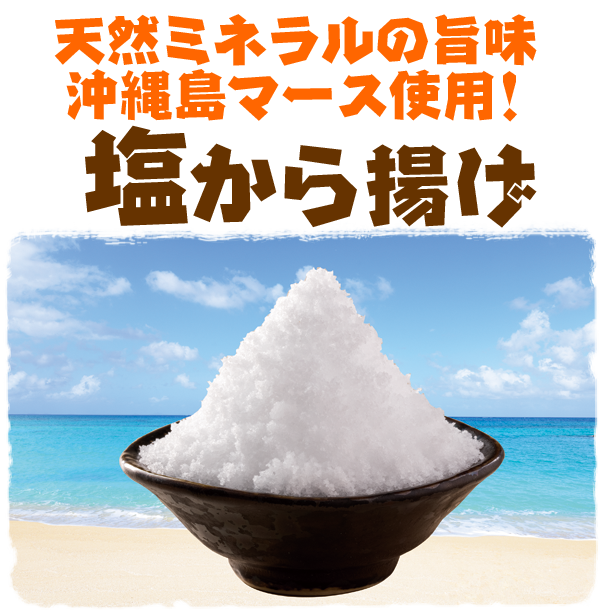 天然ミネラルの旨味 沖縄島マース使用!塩唐揚げ